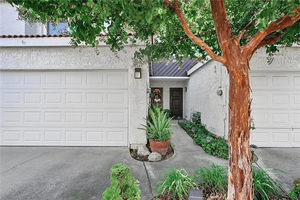 2245 Smoke Tree Ln — photo 6