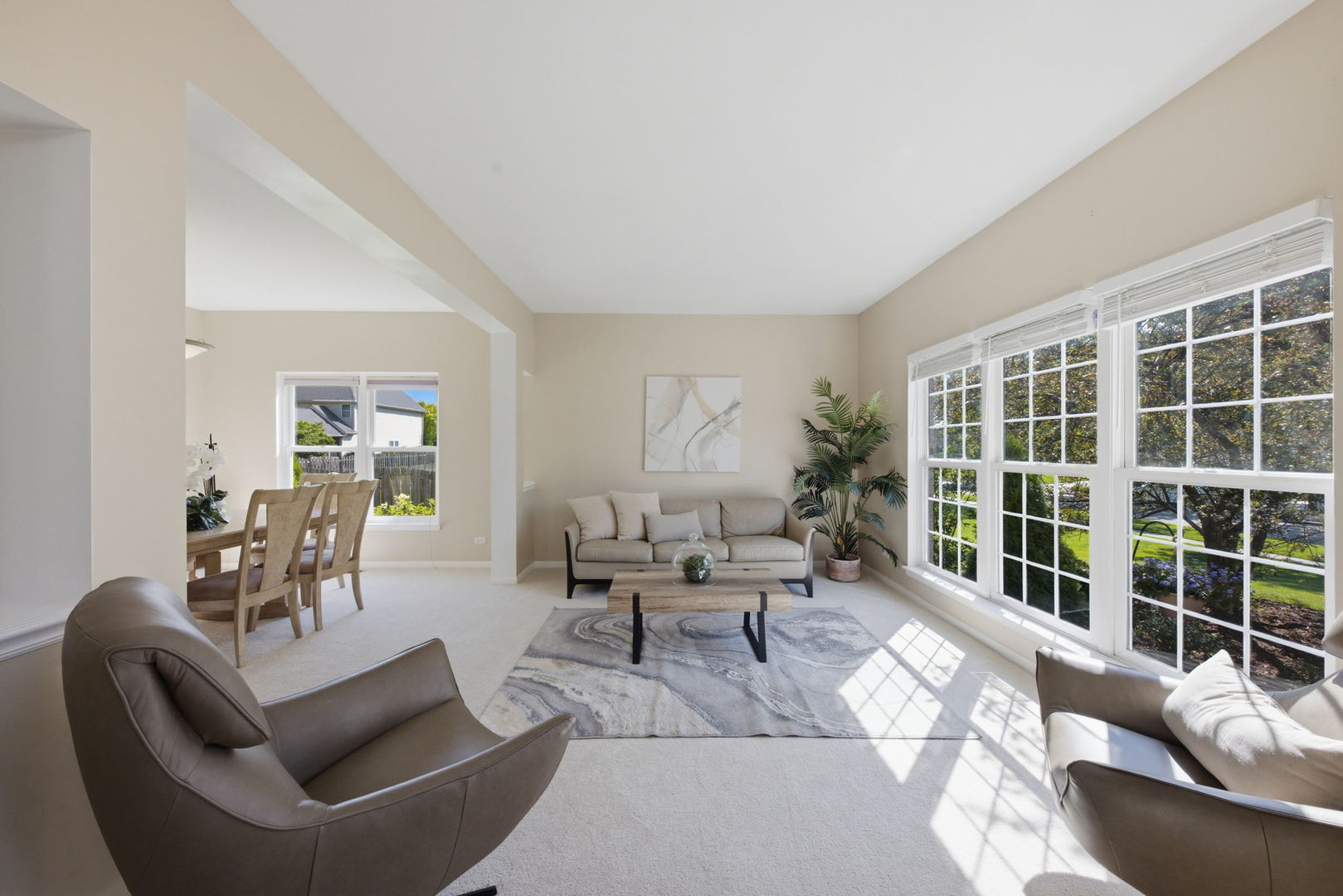 3630 White Deer Dr — photo 6
